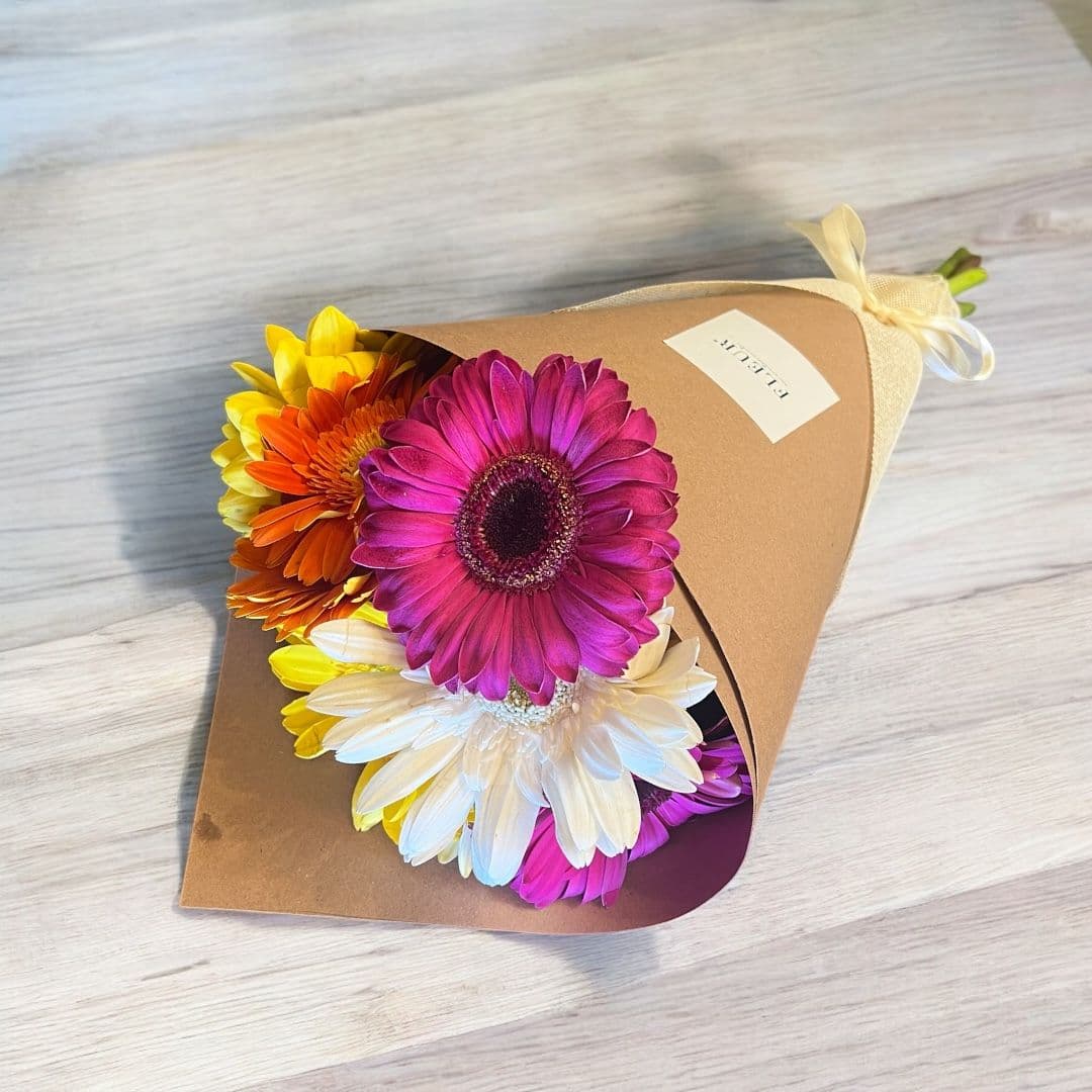 Imagen del producto: Lucy V