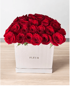 Imagen del producto: Helena III