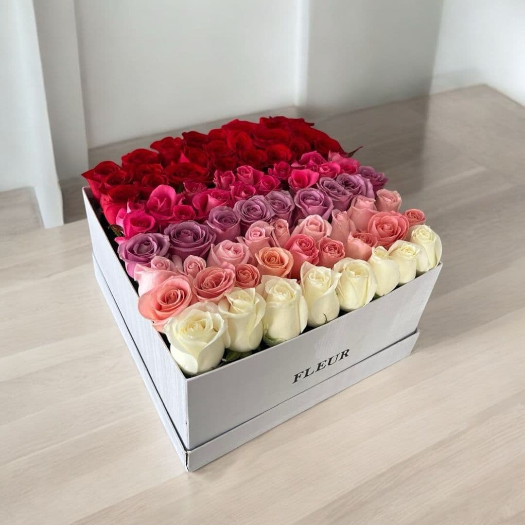 Imagen del producto: Leonor III