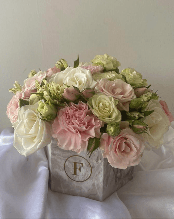 Imagen del producto: Anna V