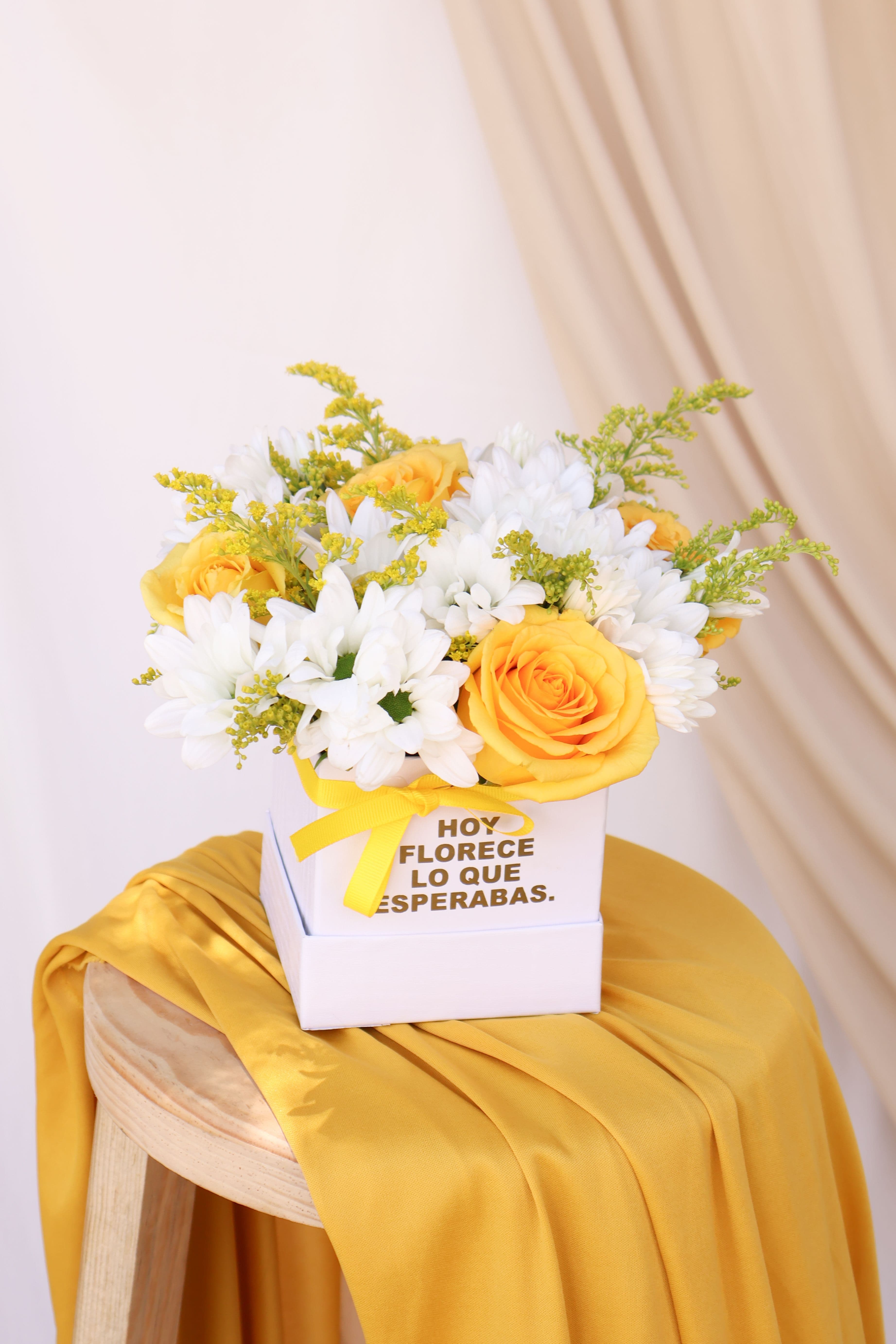 Imagen del producto: Vera