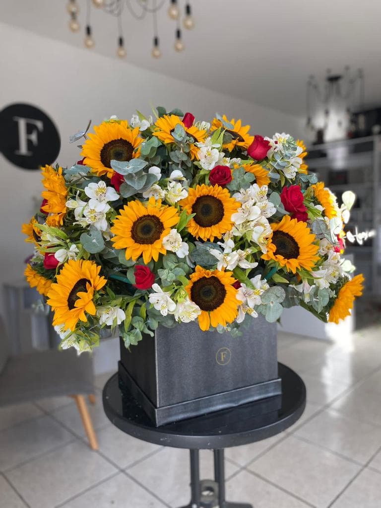 Imagen del producto: Begoña IV