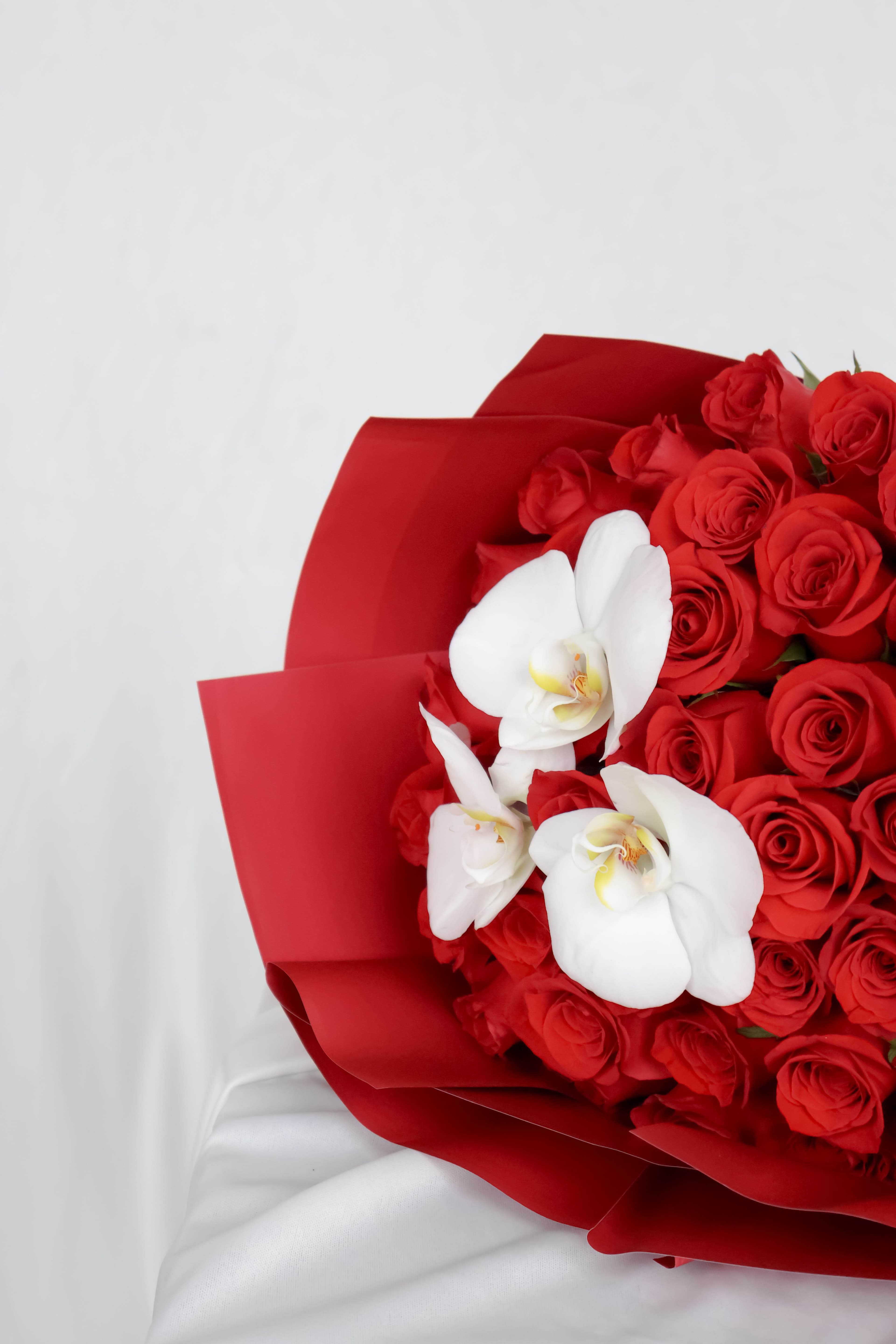 Imagen del producto: Dorothea