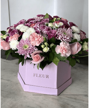 Imagen del producto: Antonieta VI