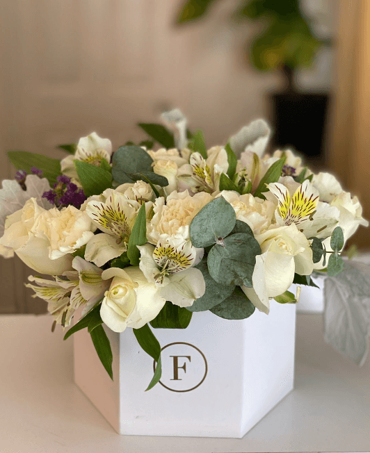 Imagen del producto: Anna IX